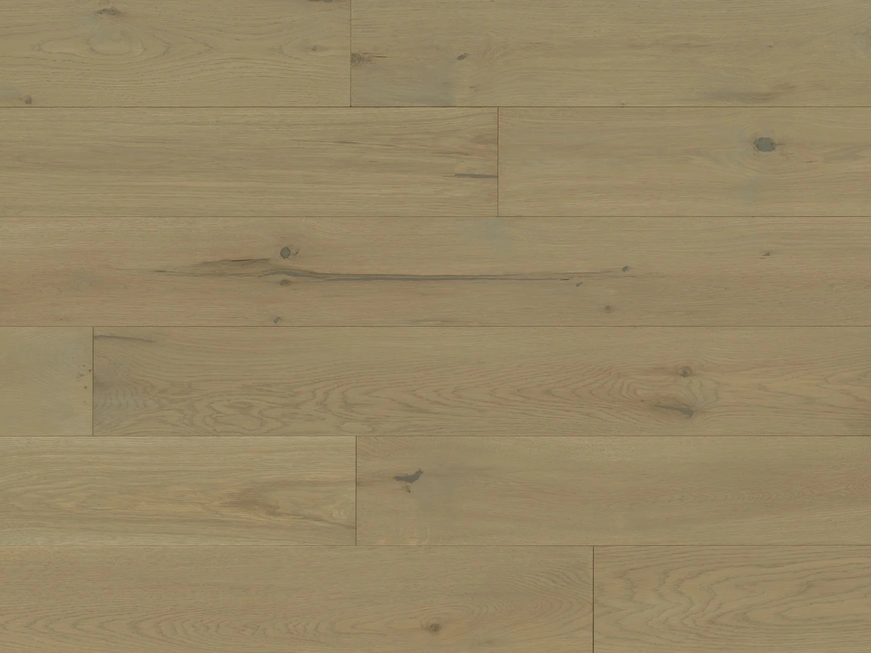 Sylvania White Oak Fayette
