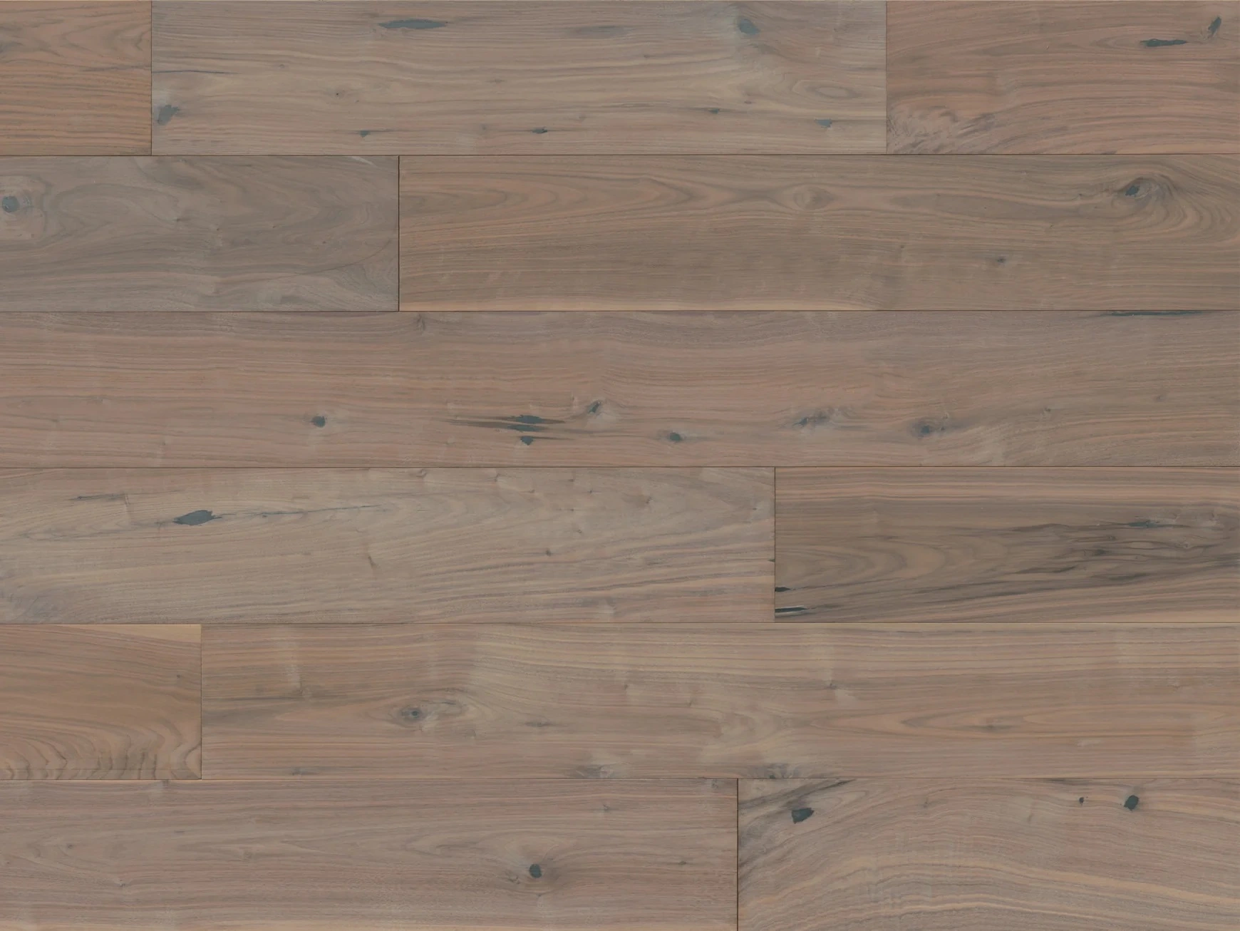 Sylvania Walnut Clarion