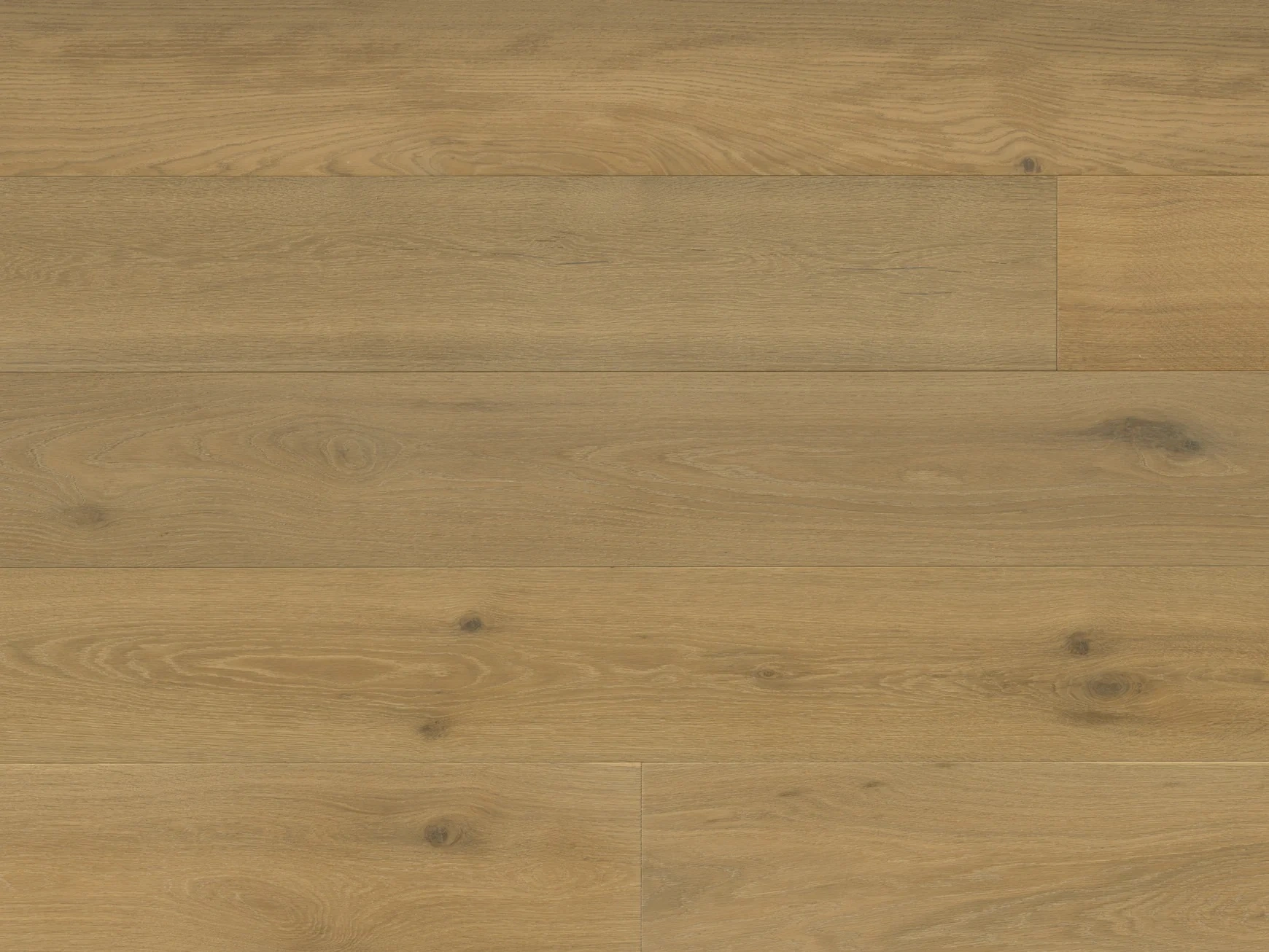 Terreno Euro Oak Sila