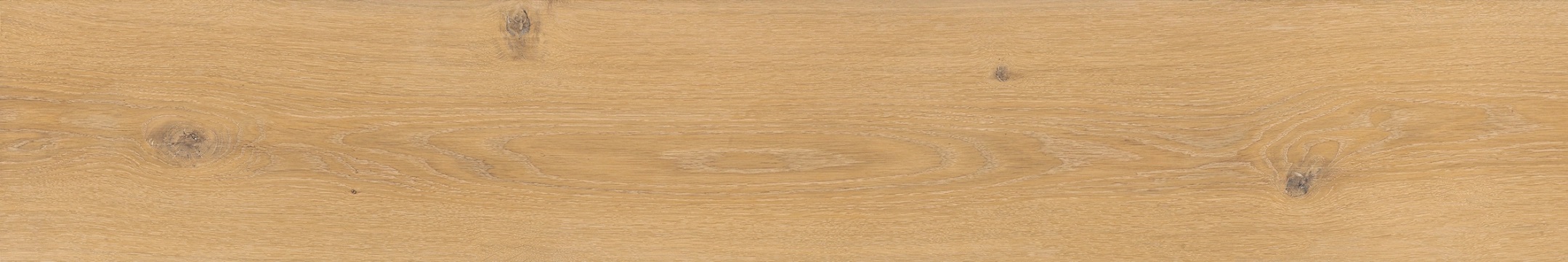 Solorovere Pure Where to buy Solorovere tiles by Ceramiche Piemme
