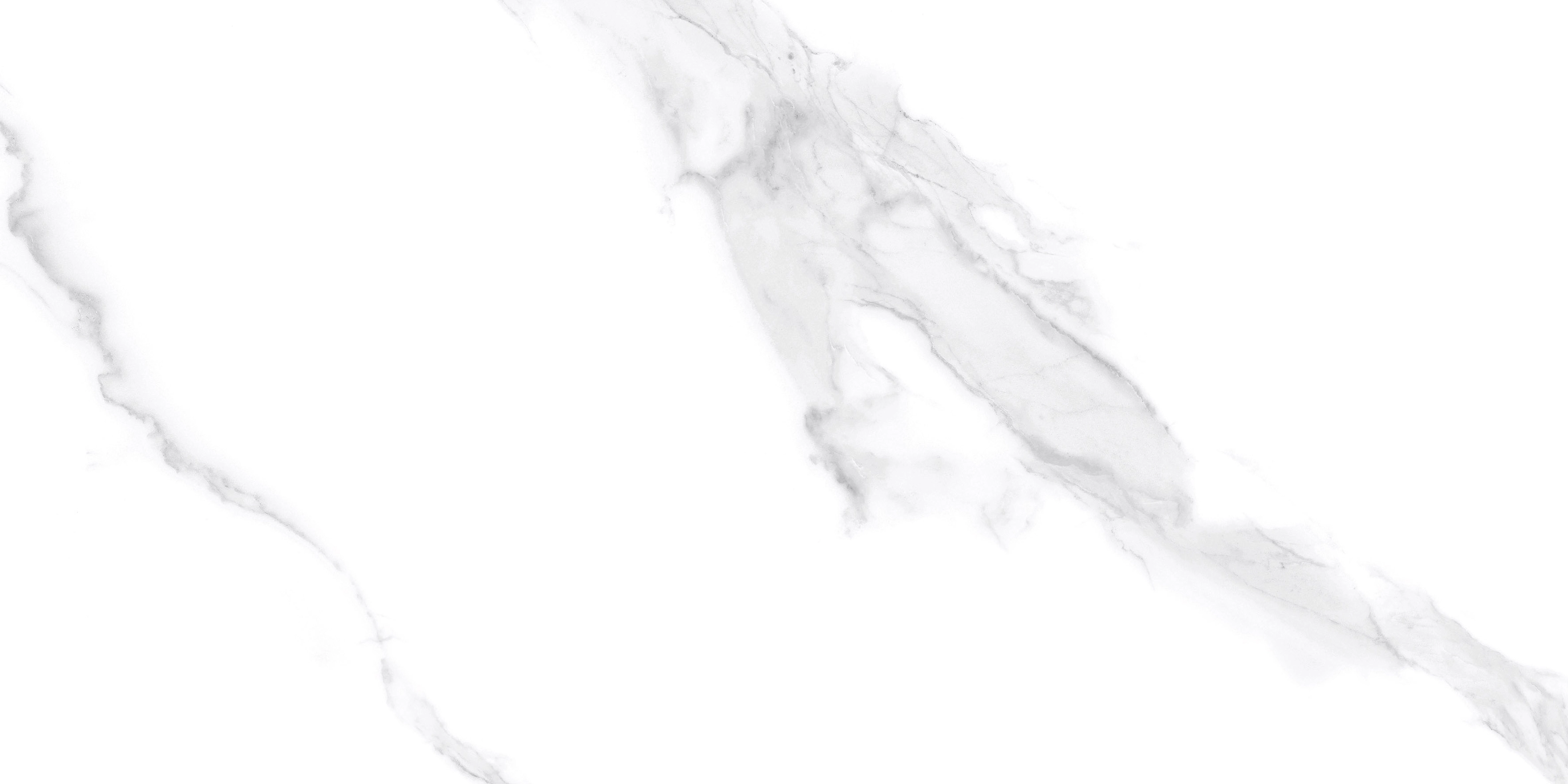 24x48 Bellagio Statuario