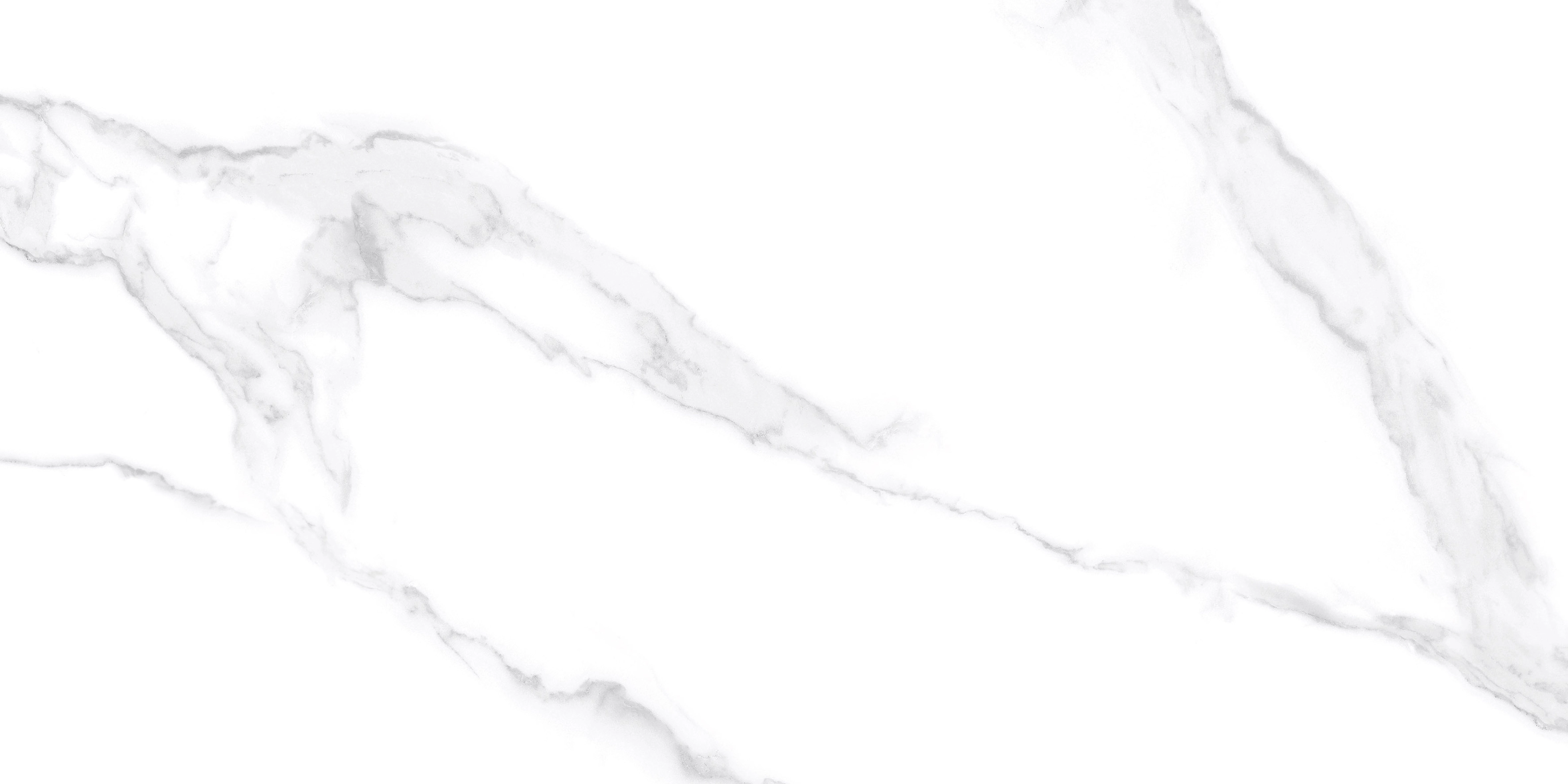 12x24 Bellagio Statuario