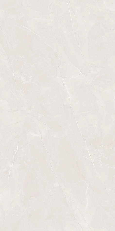24x48 Platina Gris