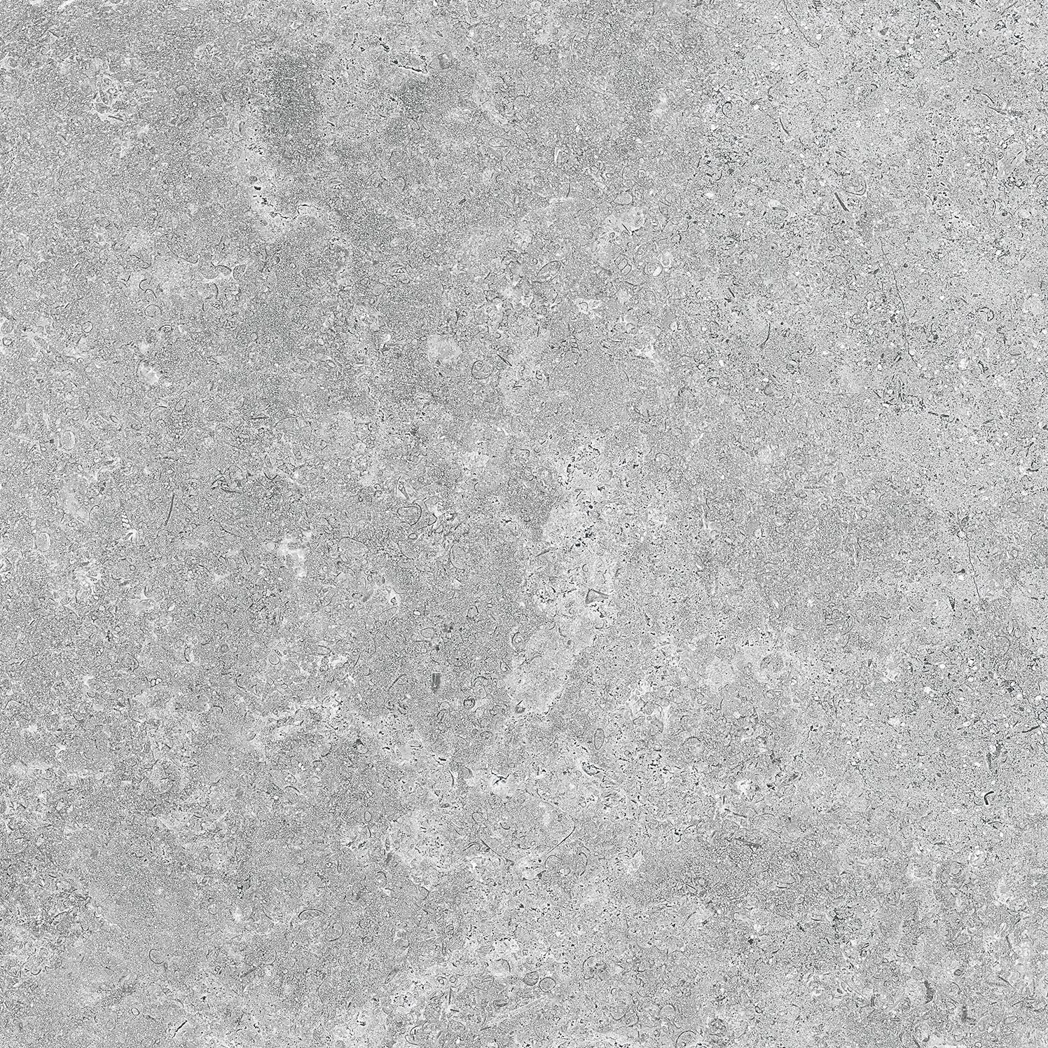 PAV. MARKTHAL GREY