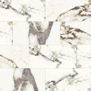 Radiance 12x24 Eternal Beauty Matte