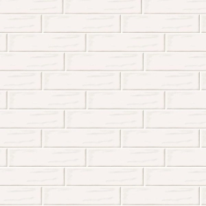 Silhouette 2x10 White Matte