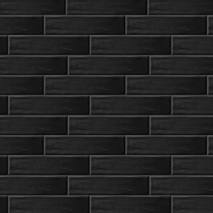 Silhouette 2x10 Black Matte