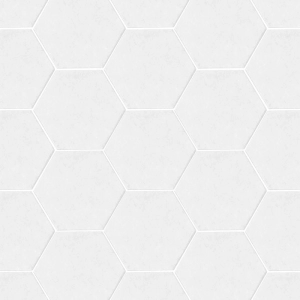 Silhouette 6x7 Hexagon White Matte