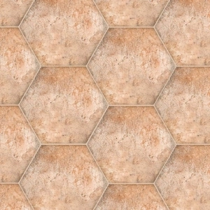 Symmetry 8x9 Hexagon Journey Coto