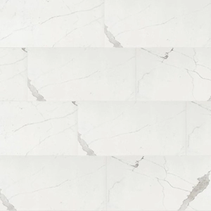 Timeless Polished Calacatta