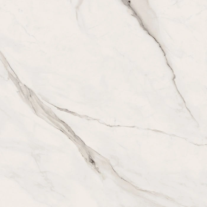 Versace Maximvs 24X24 Polished Stat White