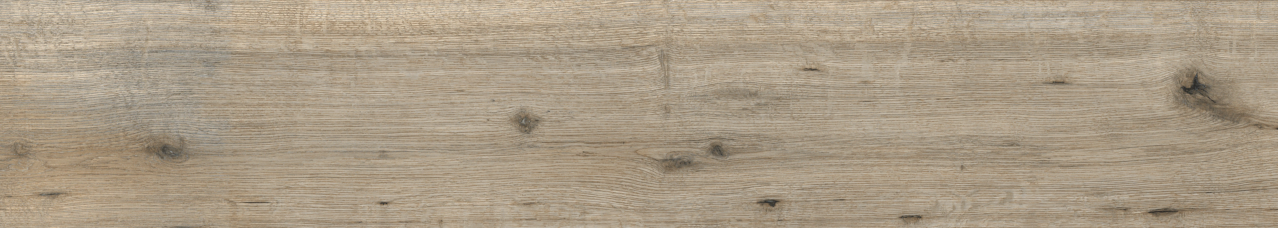 CALDERA OLIVE