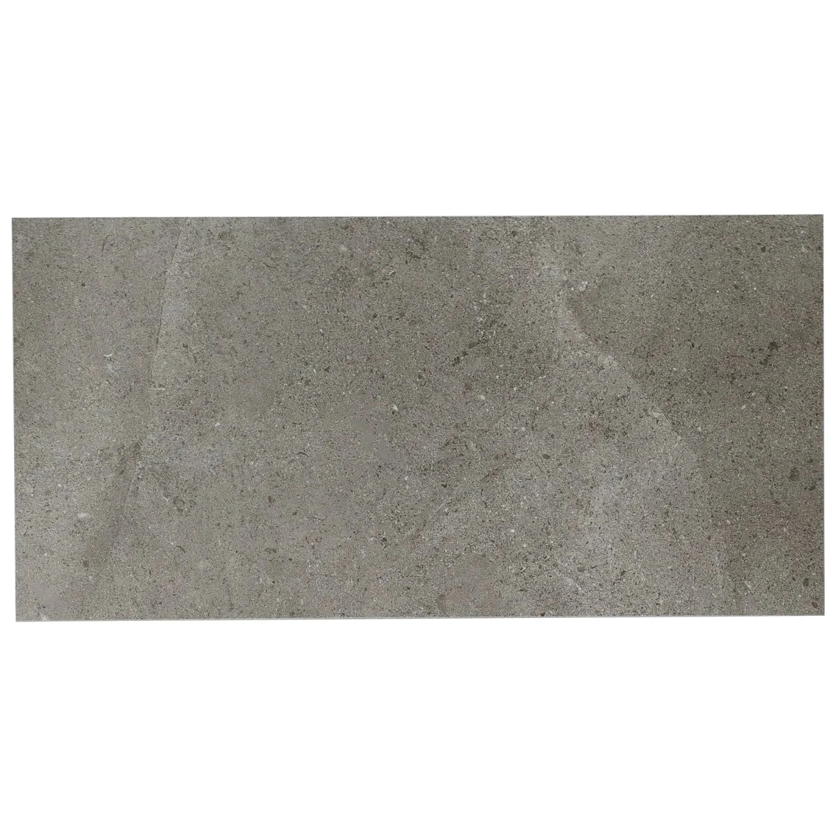 Ages Fossil Dark Gray Limestone Look Matte Porcelain Tile