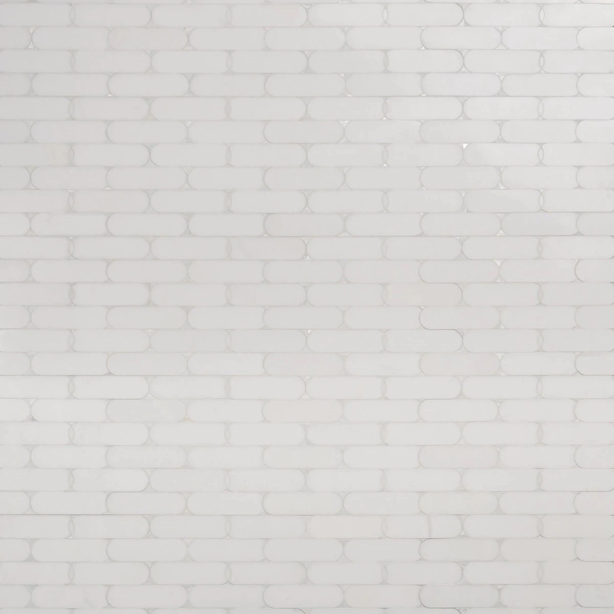 Alanis Thassos Pearl Polished Marble + Pearl