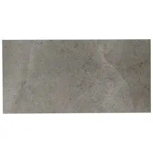 Ages Fossil Dark Gray Limestone Look Matte Porcelain Tile