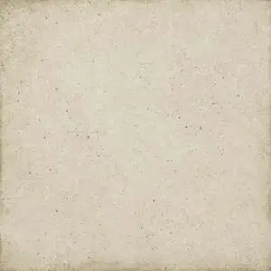 Biscuit