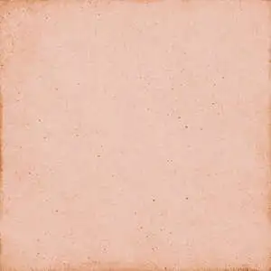 Coral Pink