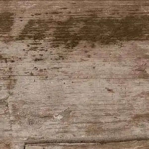 Irati L50 Walnut