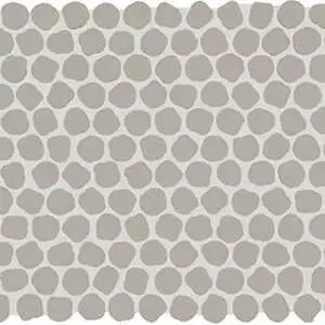 Desert Gray Organic Penny