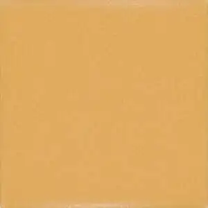 Mustard Straight Joint