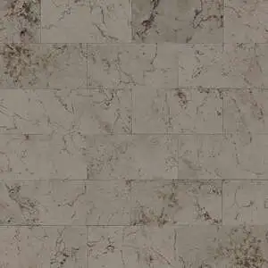 Silver Screen Rectangle