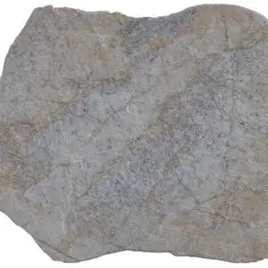 Montesa Grey