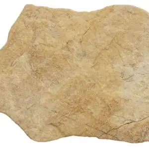 Montesa Ochre