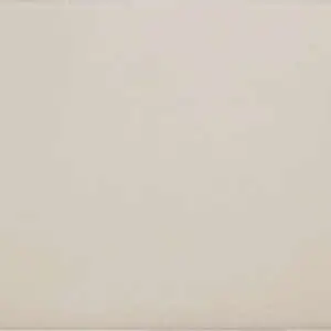 Beige Gobi