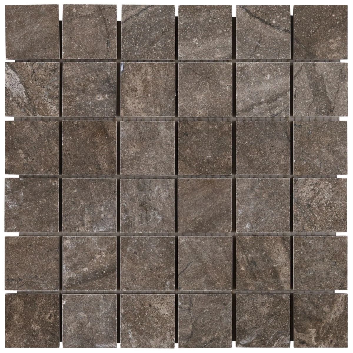 Esperito Earth Brown 2x2 Matte Porcelain