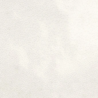 white white