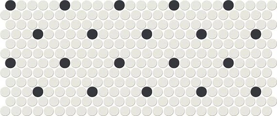 Arctic White/Black Penny Rounds
