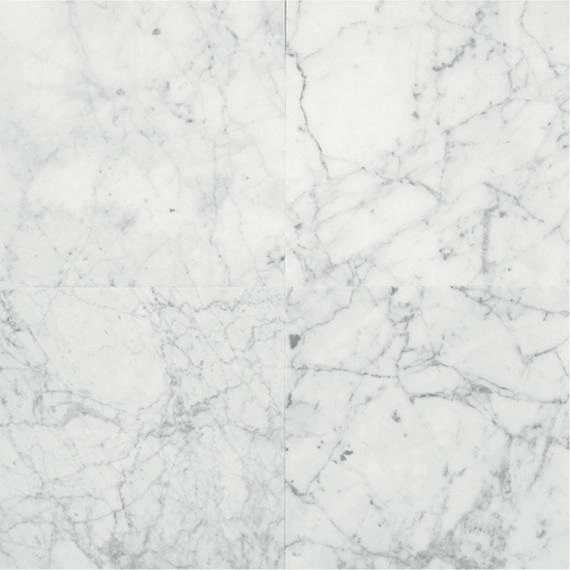Carrara Gioia Carrara Gioia