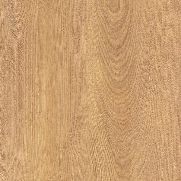 Iroko