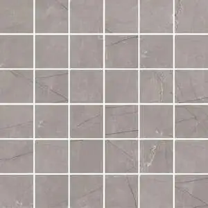 Grey Shine 2X2 Mosaic Polished