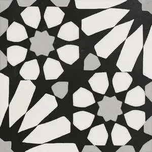 Etna Big Aster Blk & Wht 8X8 Matte