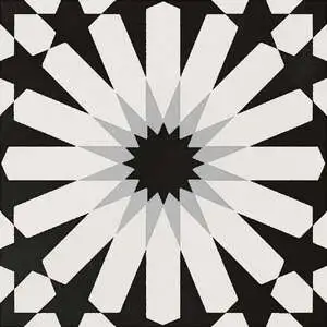 Etna Aster Blk & Wht 8X8 Matte
