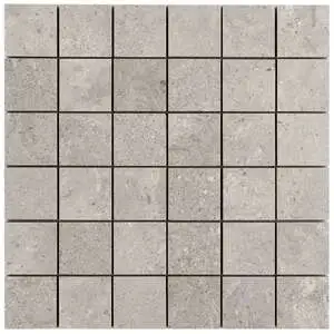 Chevalier Grigio 2x2 Matte Porcelain