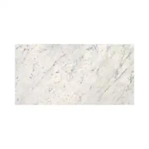 Carrara 24X48 Polished