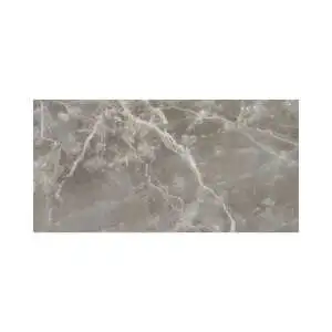 Fiore D’Bosc 24X48 Polished