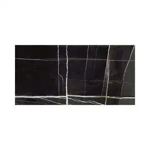 Sahara Noir 24X48 Polished