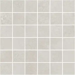 Domain Reflex Mosaic