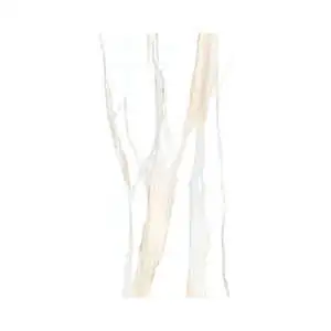 Calacatta Gold 24X48 Matte