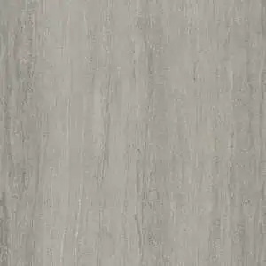 Fossil Vein-Cut Slab