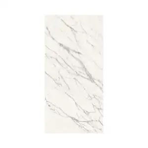 Venatino 12X24 Matte