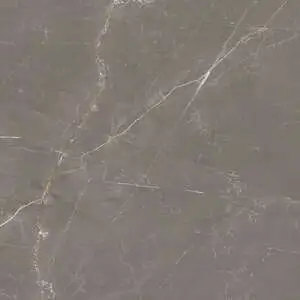 Bronze Amani 48X110 Polished