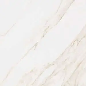 Calacatta 48X48 Matte