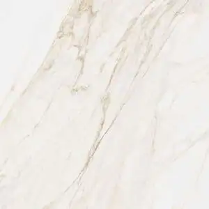 Calacatta 48X48 Polished