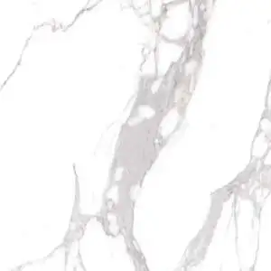 Statuario 48X48 Matte