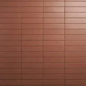 Saera Cotto 3x11 Matte Porcelain