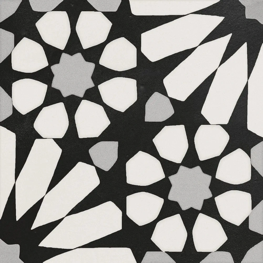 Etna Big Aster Blk & Wht 8X8 Matte